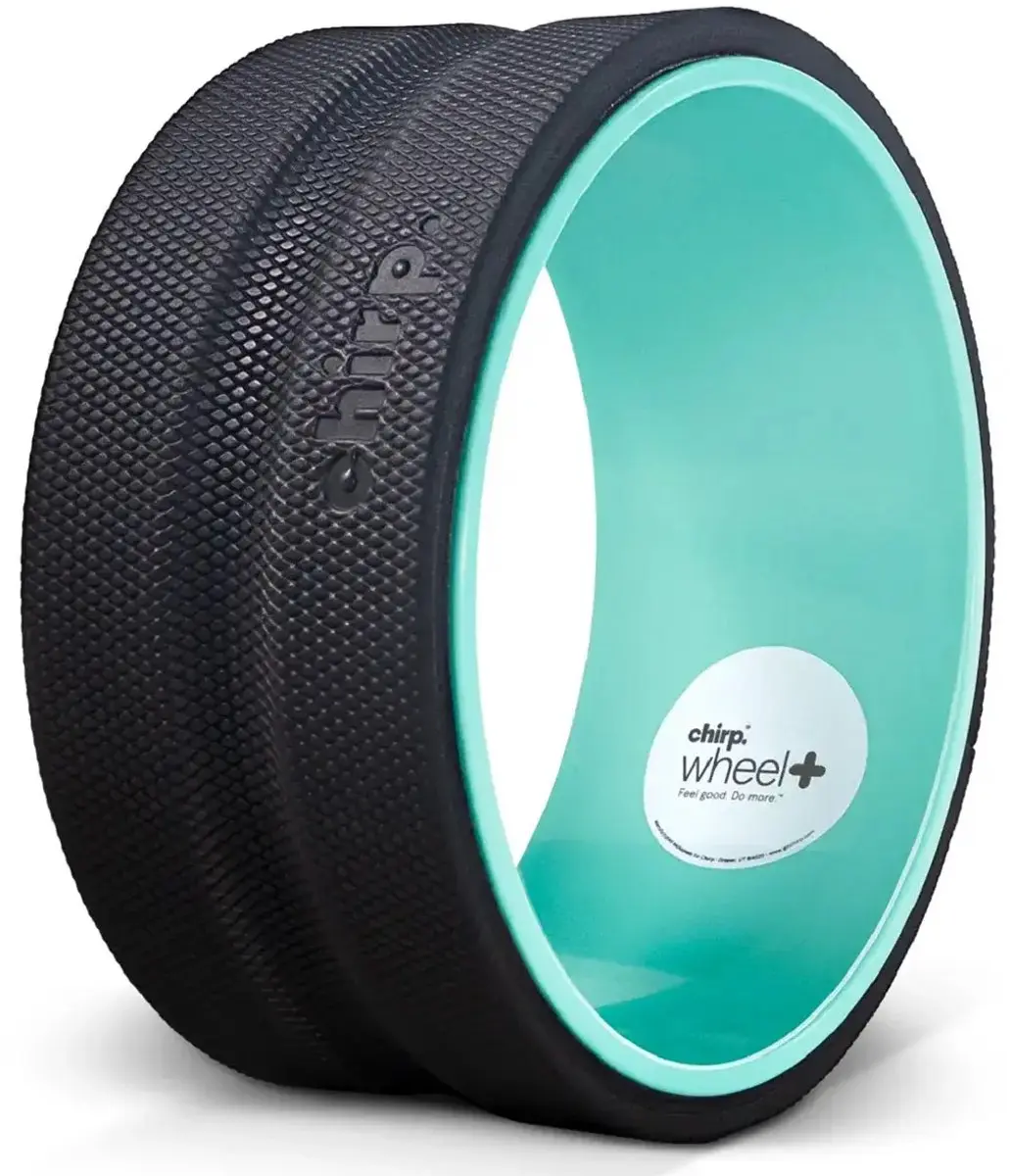 Chirp Wheel+ Foam Roller 25cm
