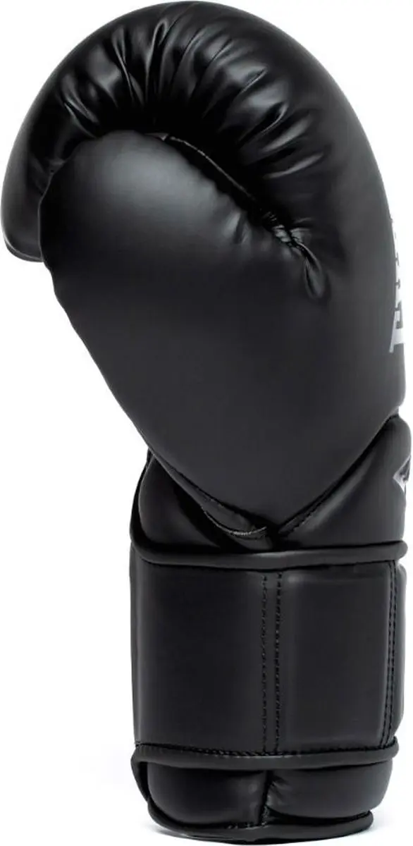 Everlast Elite 2 Pro Bokshandschoenen 18 oz - Zwart