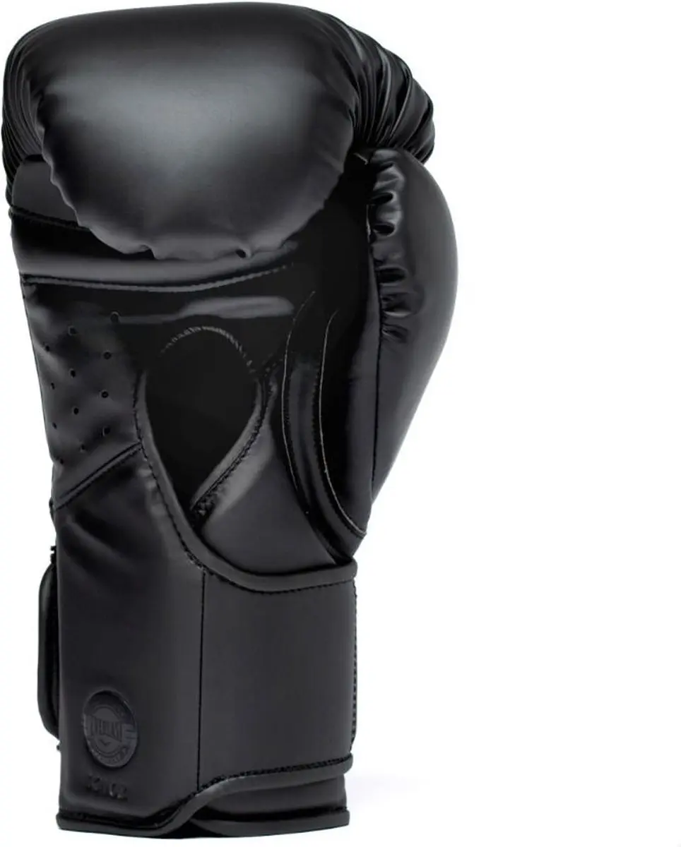 Everlast Elite 2 Pro Bokshandschoenen 18 oz - Zwart