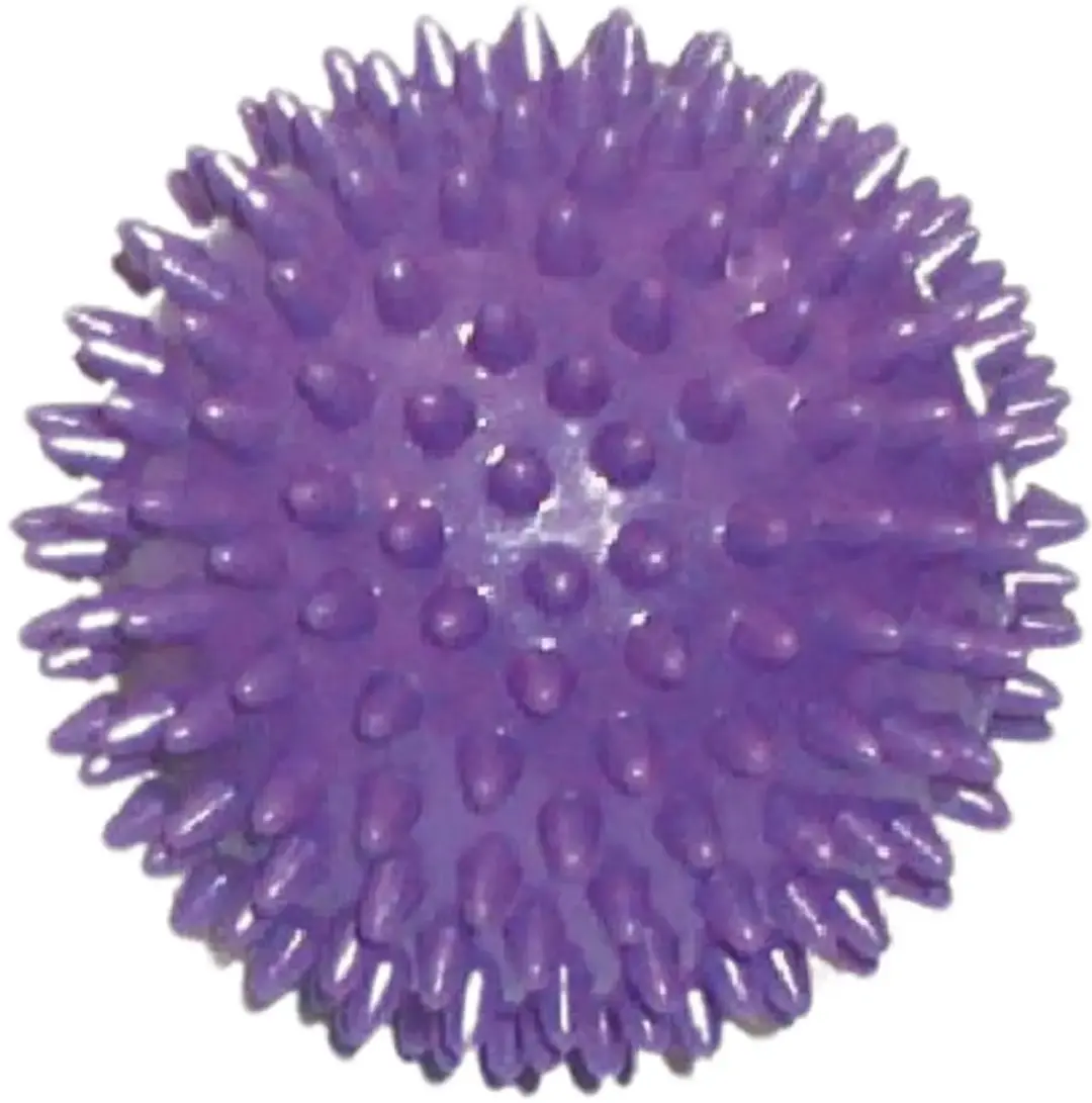 Toorx Fitness AHF-001 Massageballen 2 Stuks - 7,5 & 9 cm - Paars/ Groen
