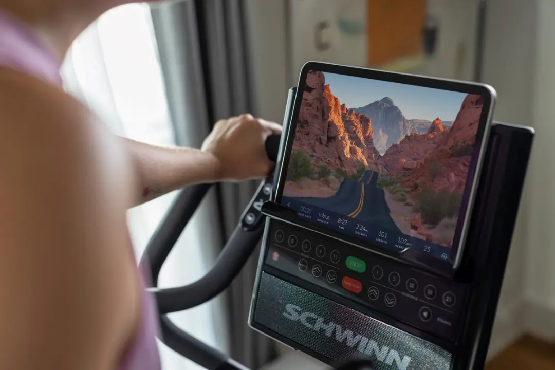 Schwinn 590E Crosstrainer - 25 Niveaus - 99 Programma's - Zwart