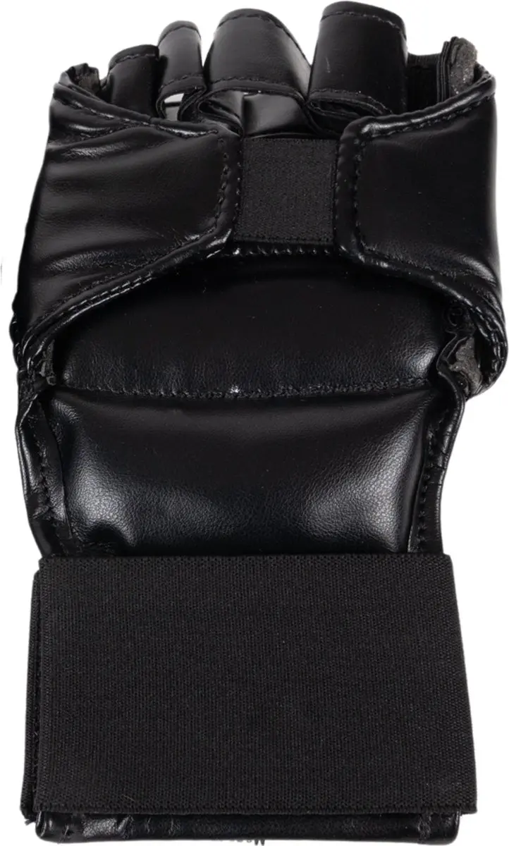 Toorx Fit Bokshandschoenen Lynx - 10 oz - S