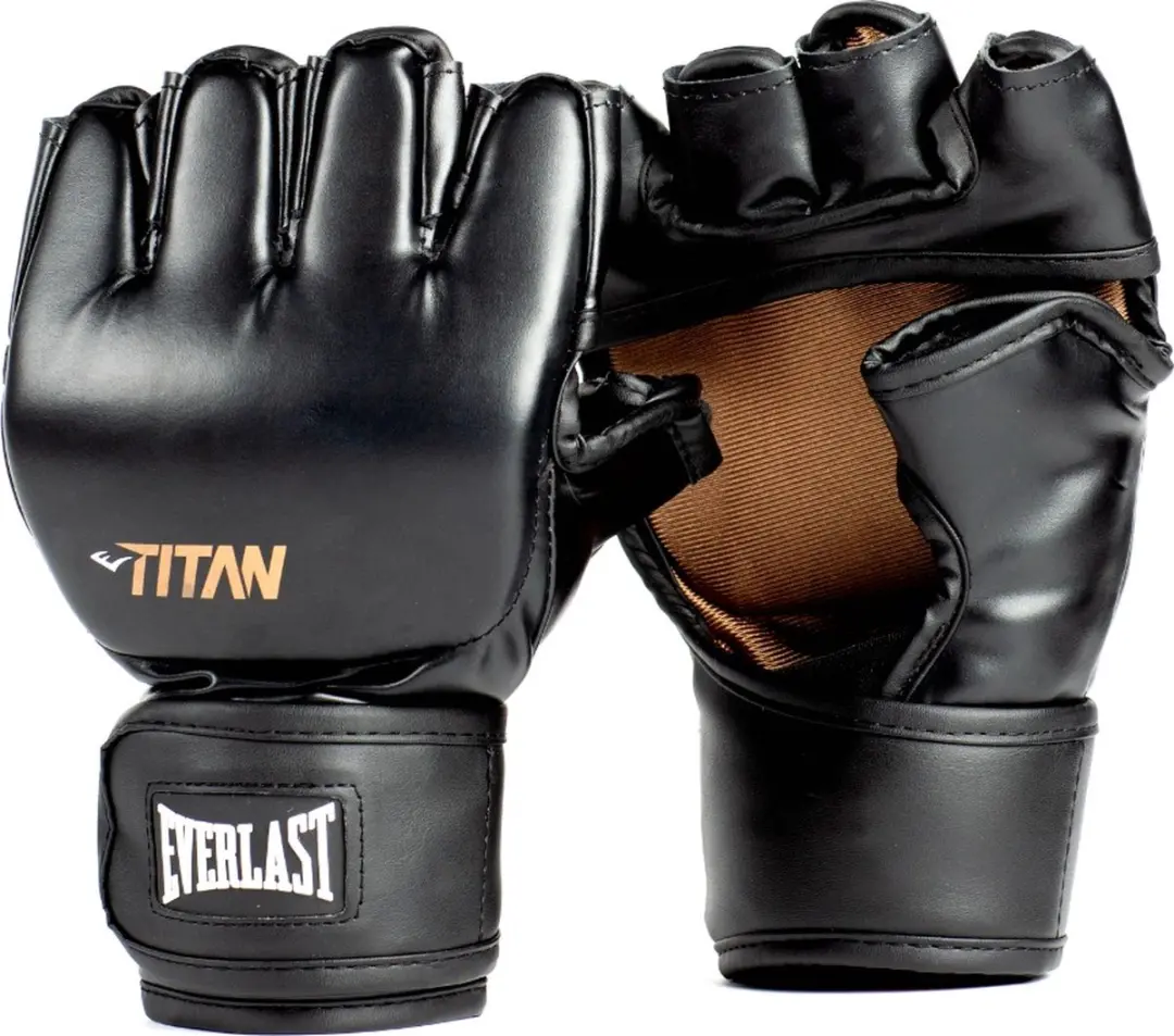 Everlast Titan MMA Handschoenen