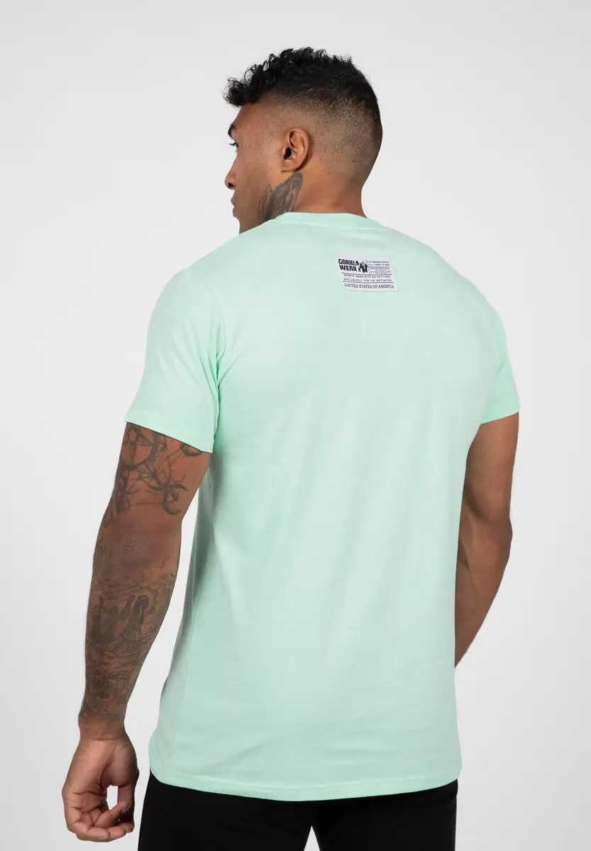 Gorilla Wear Classic T-shirt Mint - 2XL