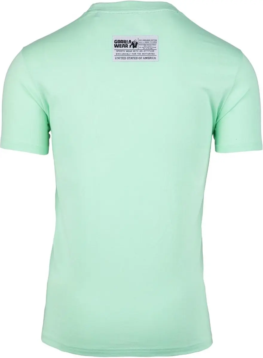 Gorilla Wear Classic T-shirt Mint - 2XL