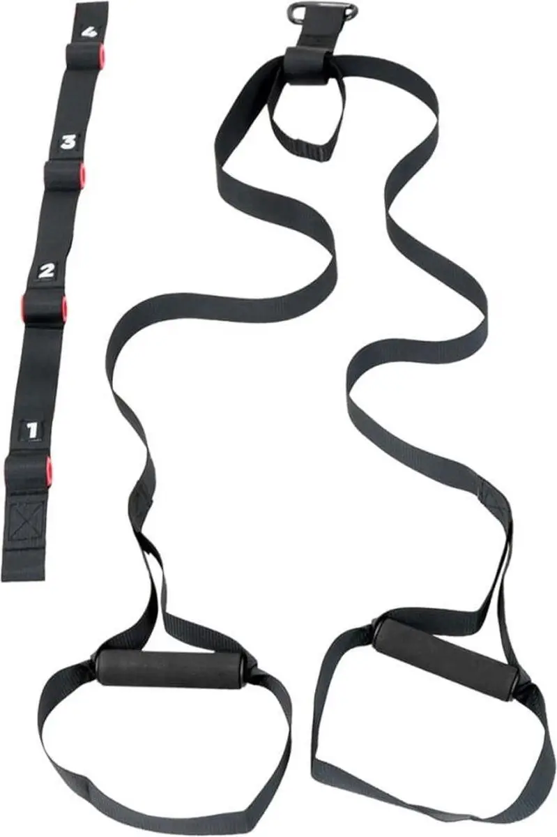 Iron Gym Trainer Full Body Workout