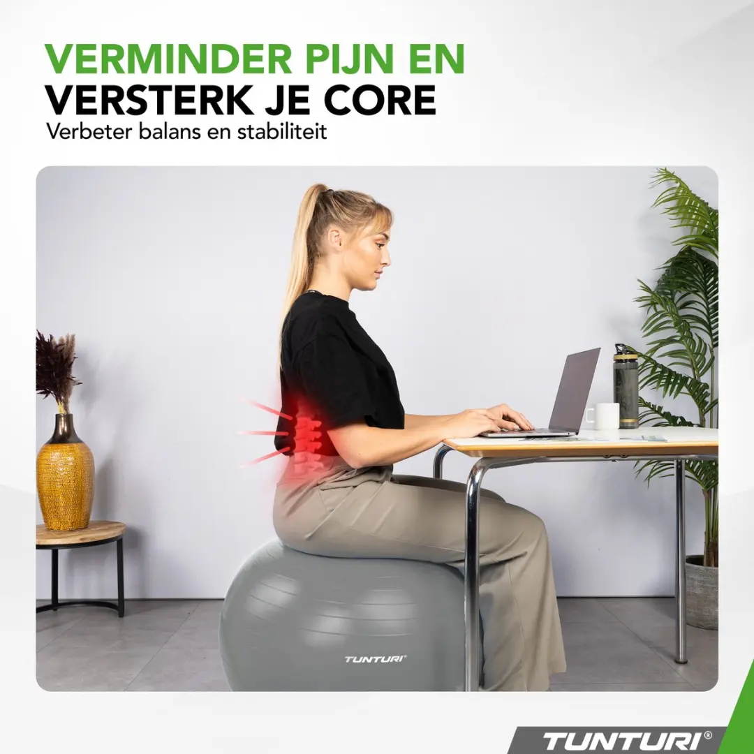 Tunturi Anti Burst Fitnessbal 65cm - 220kg - Zilver