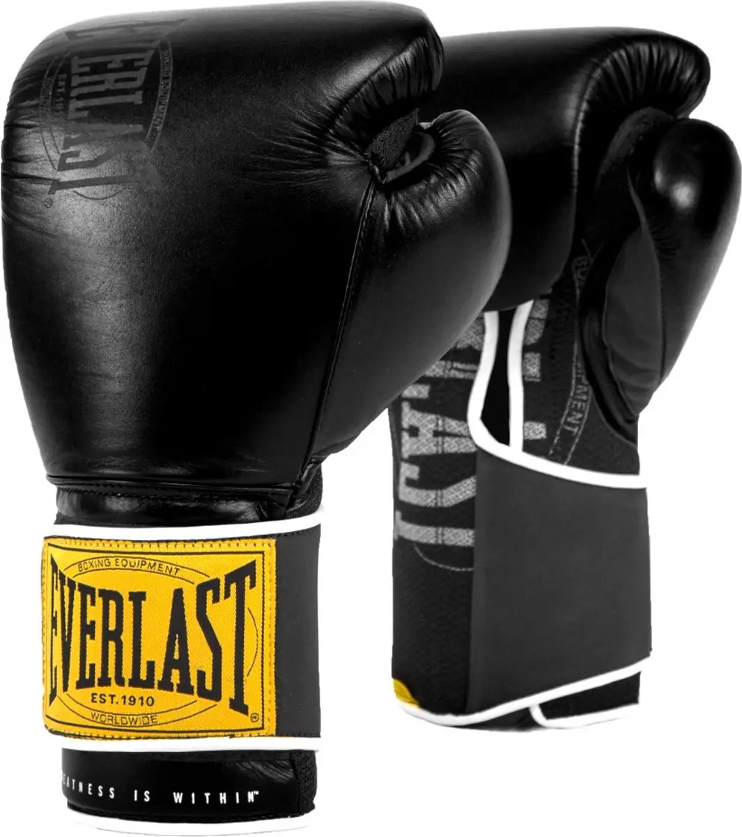 Everlast 1910 Classic Training Bokshandschoenen 16 oz