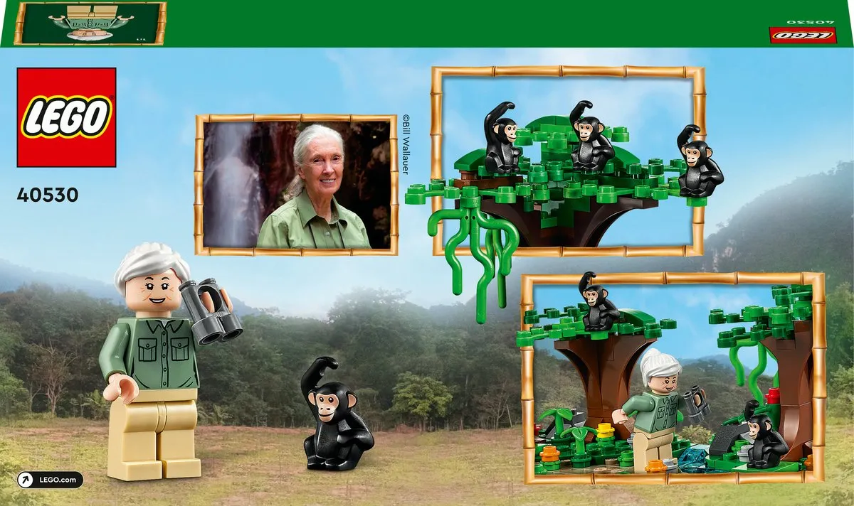 LEGO Eerbetoon aan Jane Goodall 40530 - 276 Stukken - 1 Minifiguur