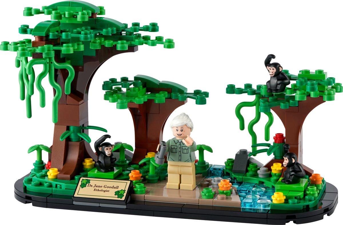 Lego 40530 Eerbetoon aan Jane Goodall