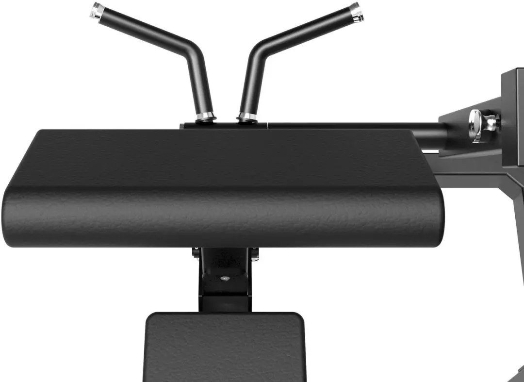 Tunturi Platinum Bicep Curl Krachtstation 120kg - Zwart