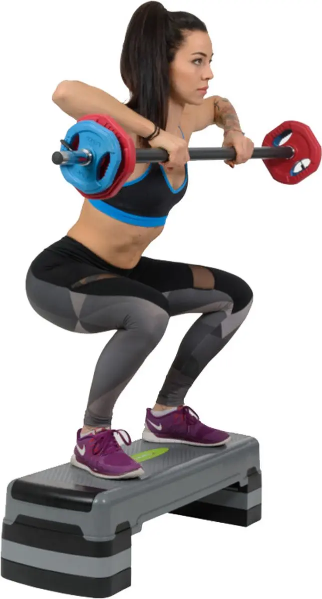 HMS 17-8-304 Aerobic Step - Multi