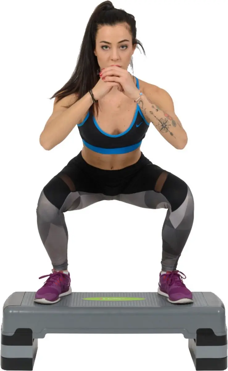HMS 17-8-304 Aerobic Step - Multi