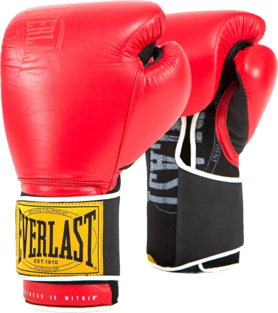 Everlast 1910 Classic Training Bokshandschoenen 16 oz