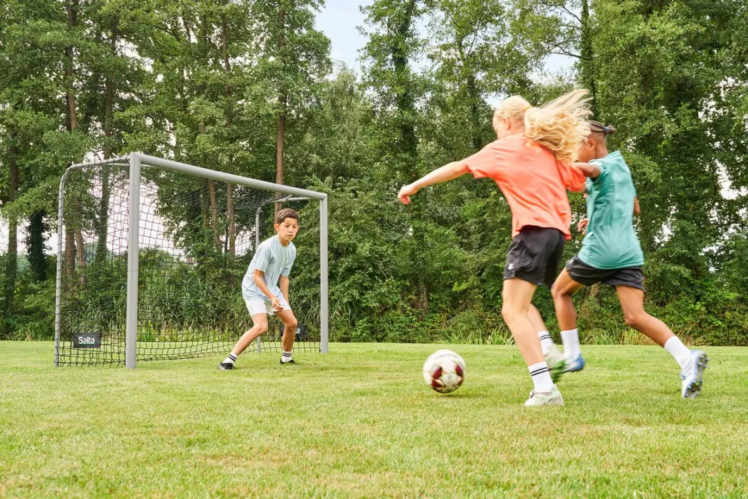 Salta Champion Voetbaldoel 240x160x85cm - Platina zilver - afbeelding 5 van 6