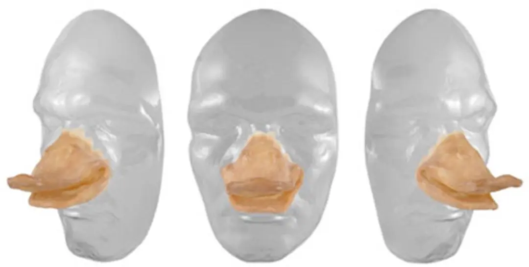 Grimas Latex Eendensnuit 305