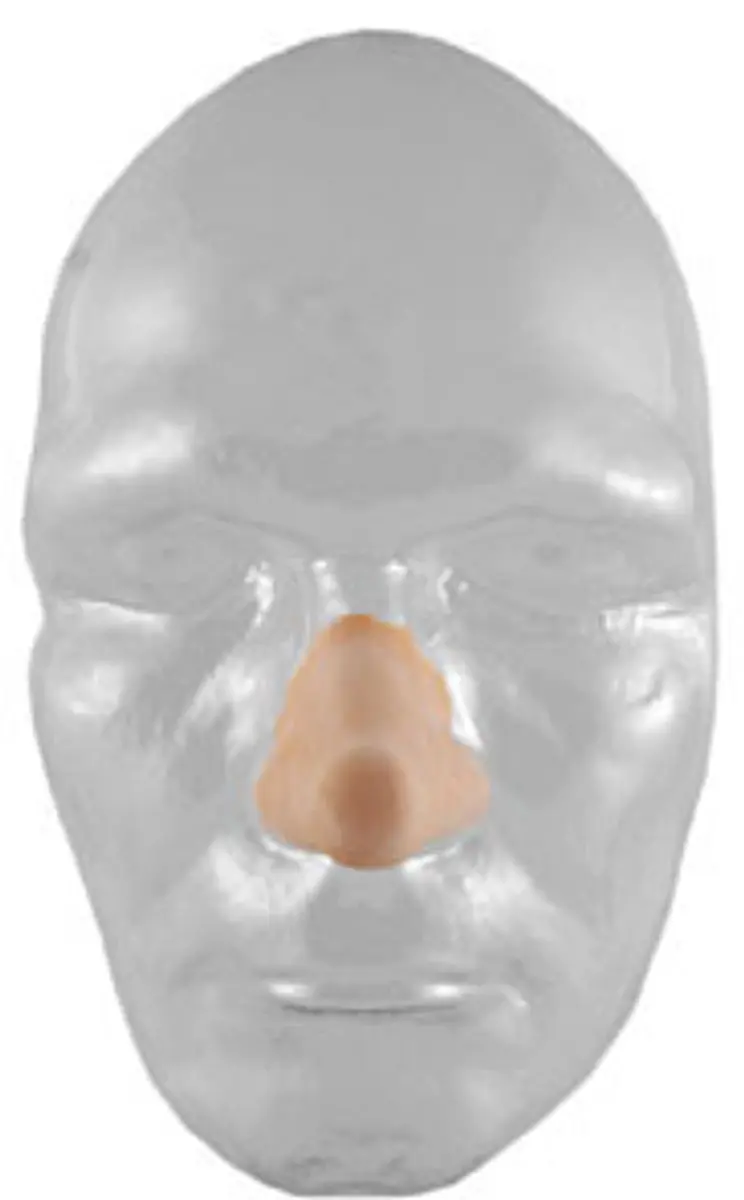 Grimas Latex Prothese Cyrano Klein