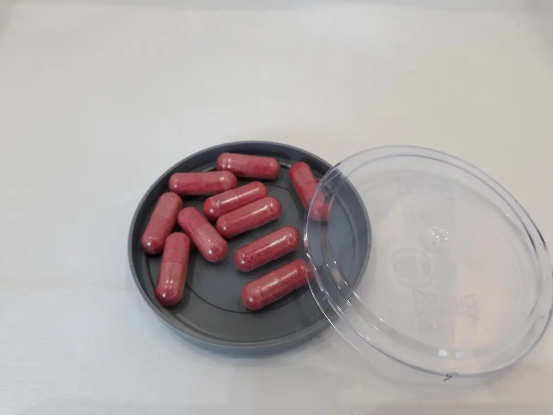 Grimas Nep Bloedcapsules - 10 Stuks