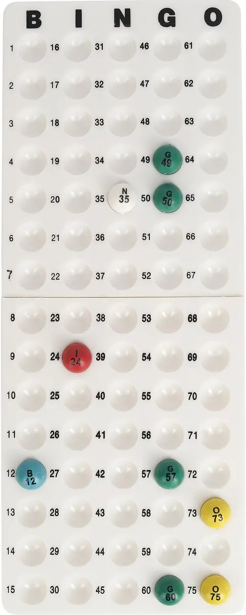 Buffalo Bingo Set BG 1232 - 100 Spelers