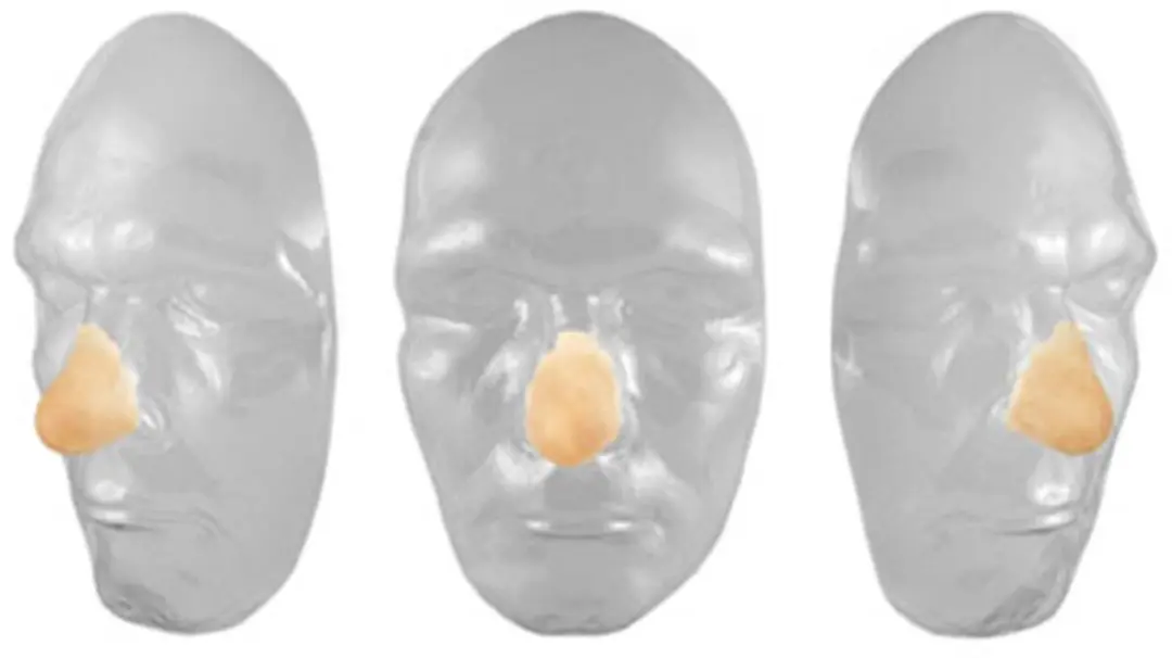 Grimas Latex Neus Tip 201