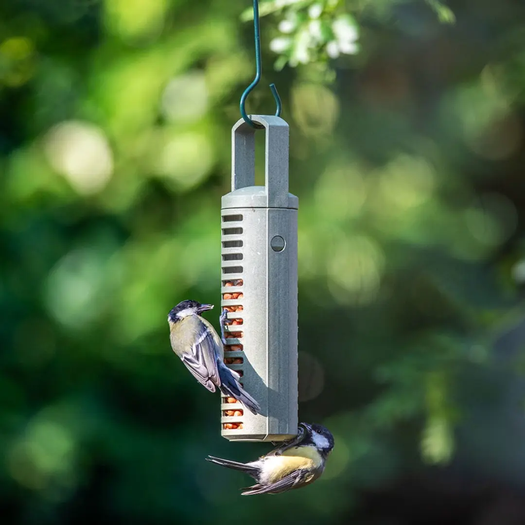 Esschert Design Vogelhuis FB851 Speelgoed