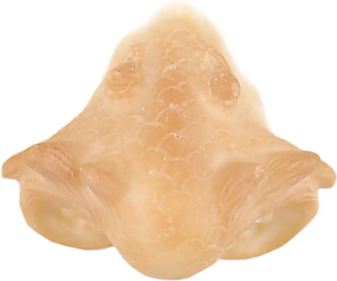Grimas Latex Draken Snuit nr 304