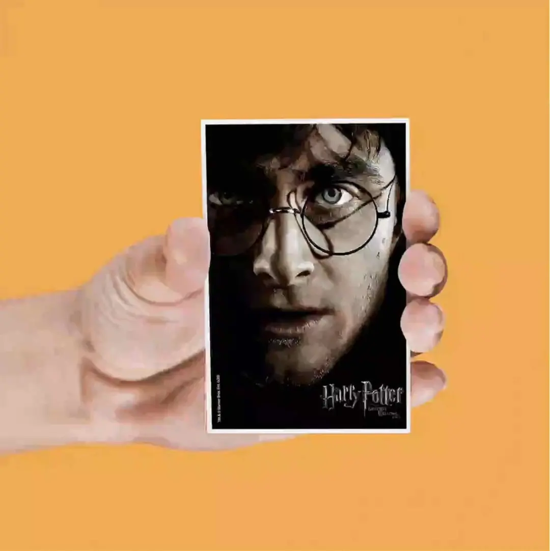 Harry Potter Lenticular Magnet Set - Multi