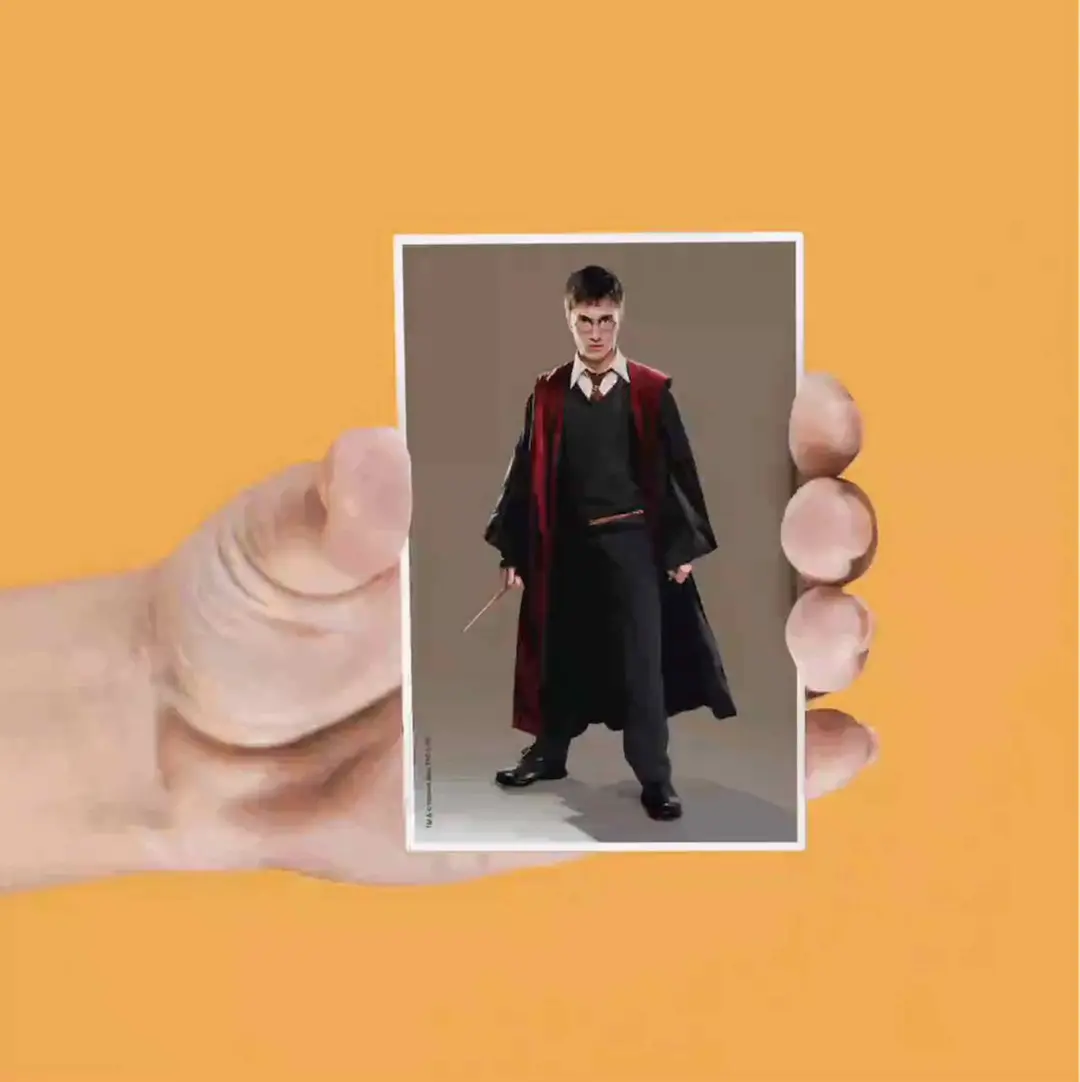 Harry Potter Lenticular Magnet Set - Multi