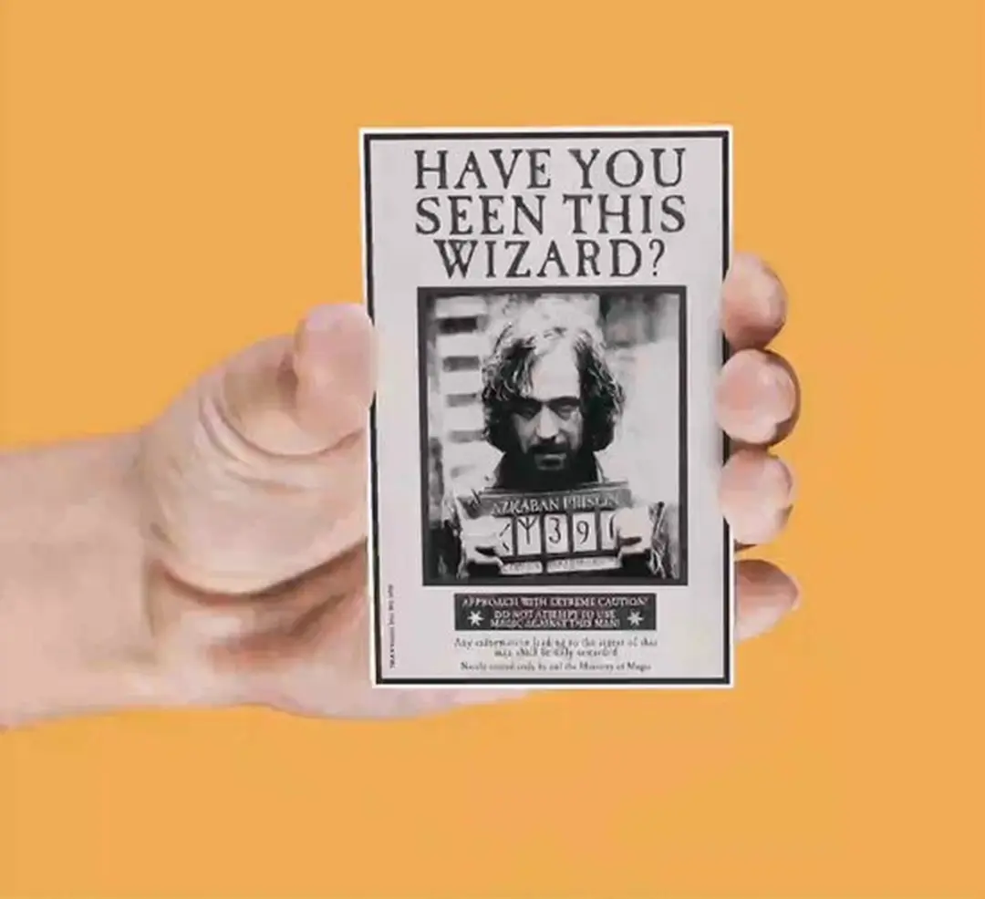 Harry Potter Lenticular Magnet Set - Multi