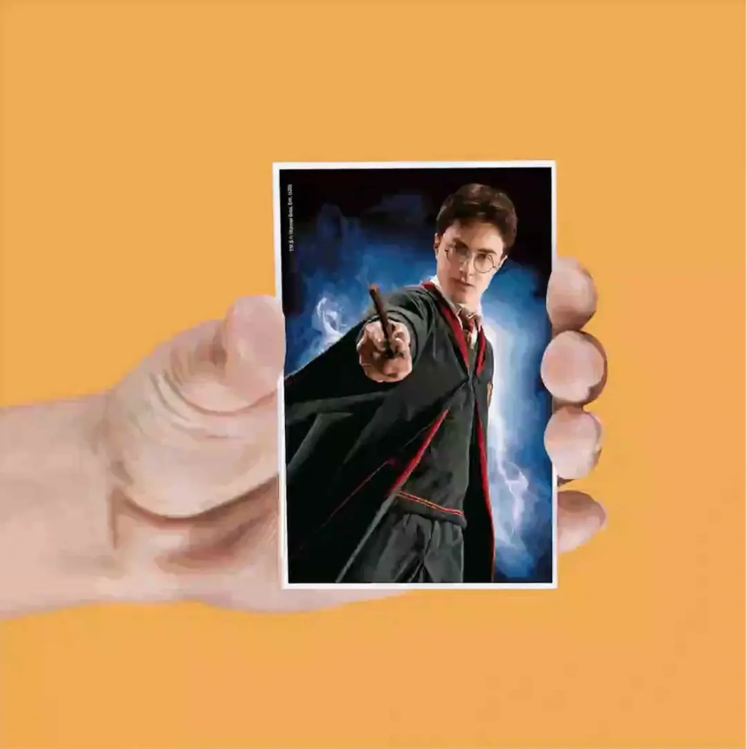Harry Potter Lenticular Magnet Set - Multi