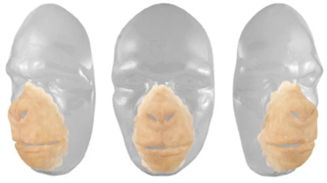 Grimas Latex Gezicht Chimpansee 401