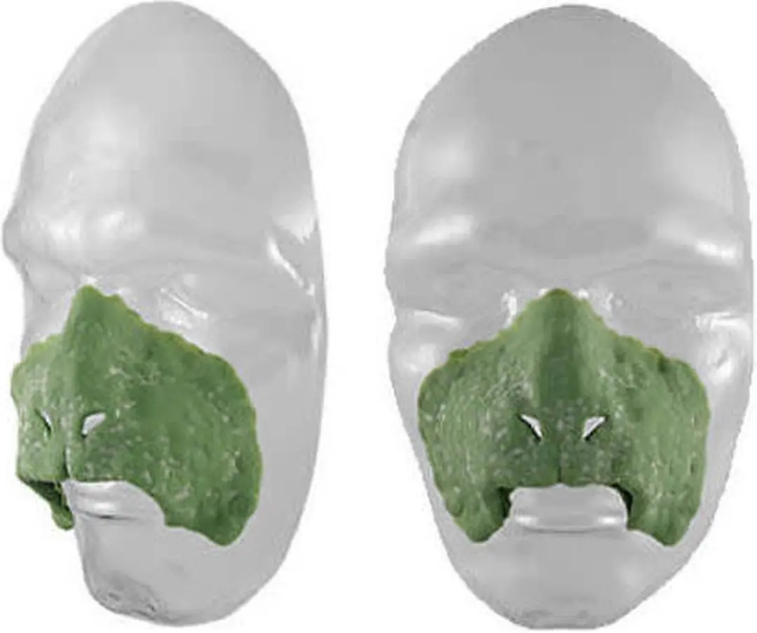 Grimas Latex Snuit Reptiel 311 - Groen