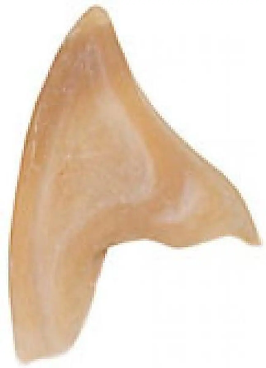 Grimas Latex Oren Elf nr 605 - Meerdere kleuren