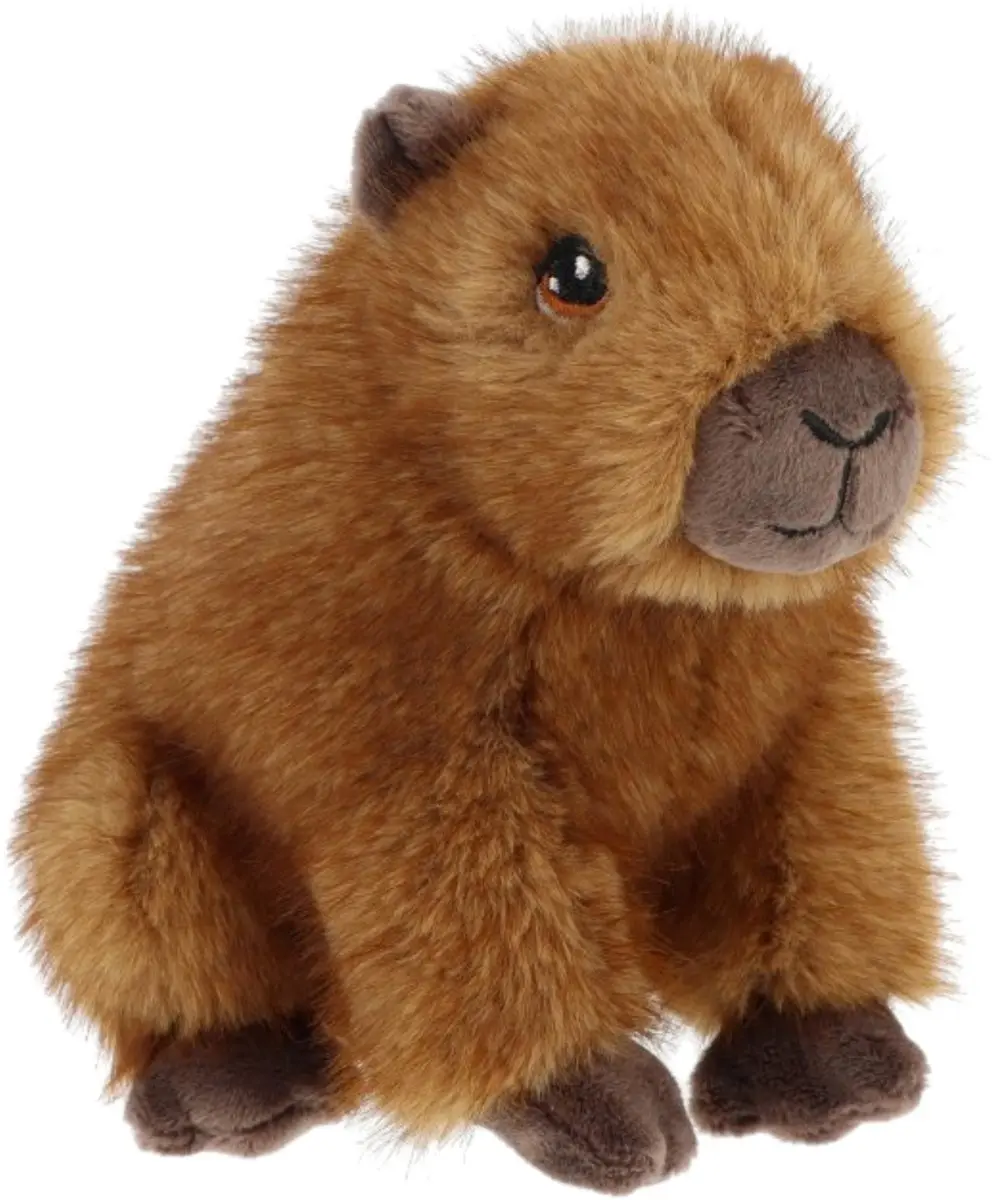 Keel Toys Pluche Capybara Bruin