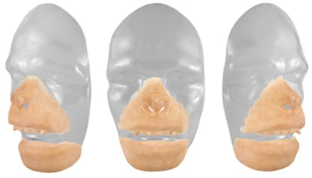 Grimas Latex Gezicht Aap Groot - 404 - afbeelding 2 van 2