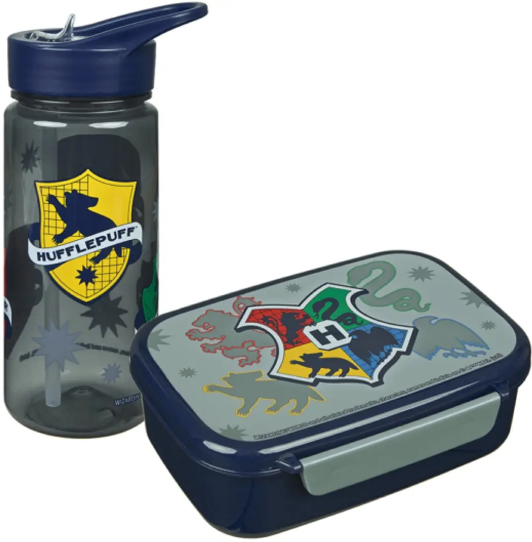Harry Potter Aero-Drinkfles HPID9913 - Meerkleurig