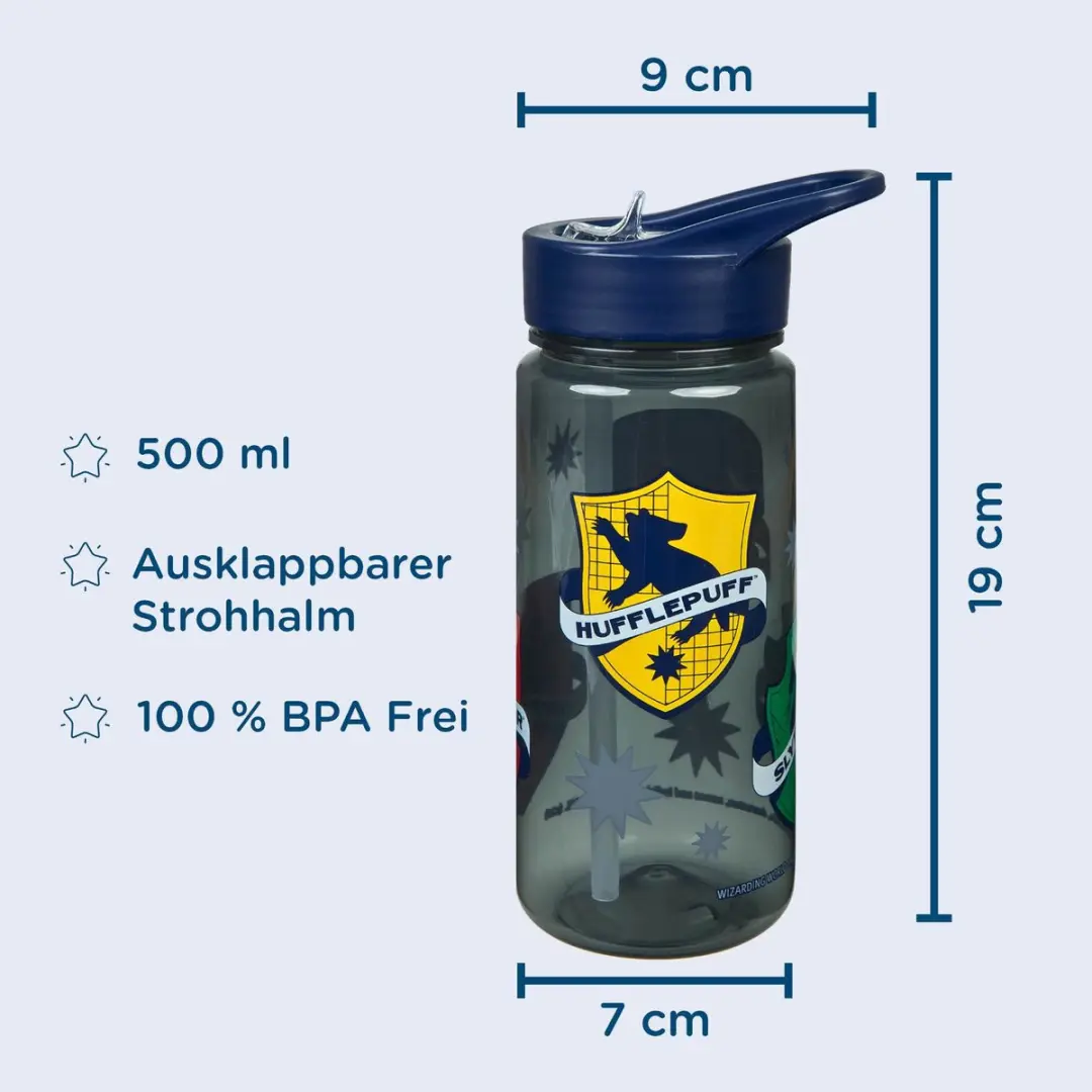 Harry Potter Aero-Drinkfles HPID9913 - Meerkleurig