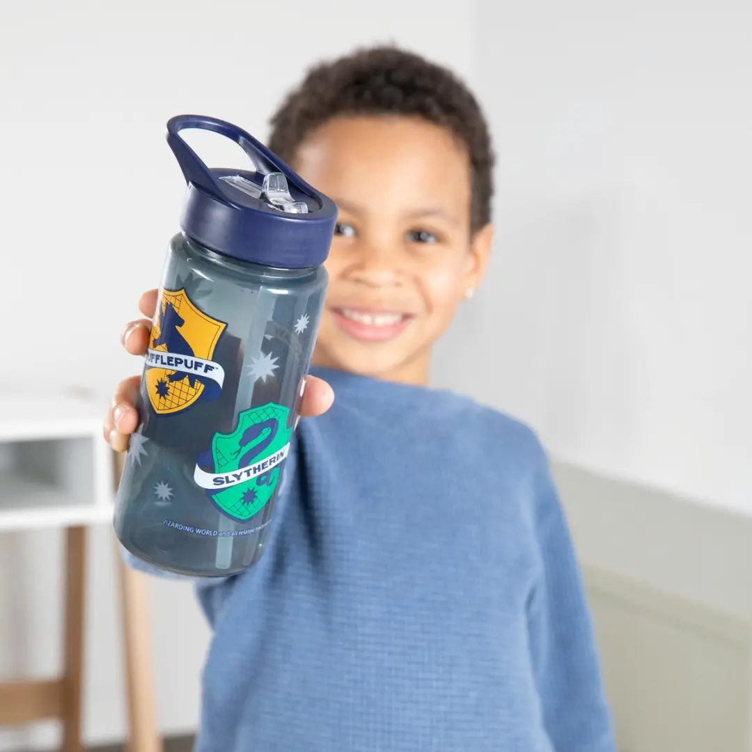 Harry Potter Aero-Drinkfles HPID9913 - Meerkleurig