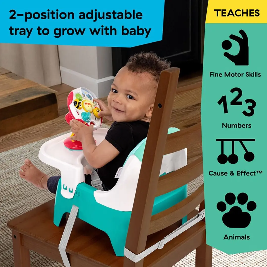 Baby Einstein Snack & Steer Voedingsstoel - Meerkleurig