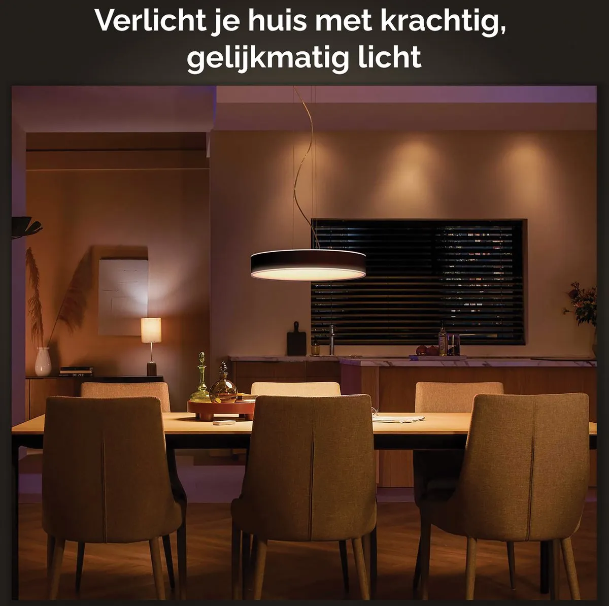 Philips Hue Enrave Hanglamp - Zwart - 1 Dimmer Switch