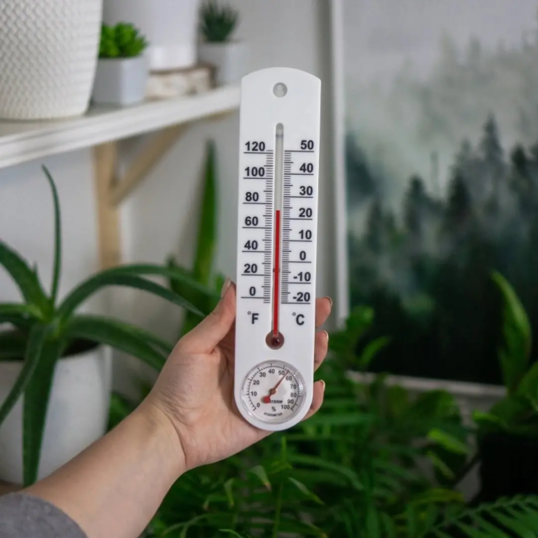 Browin Binnen Thermometer Hygrometer Wit