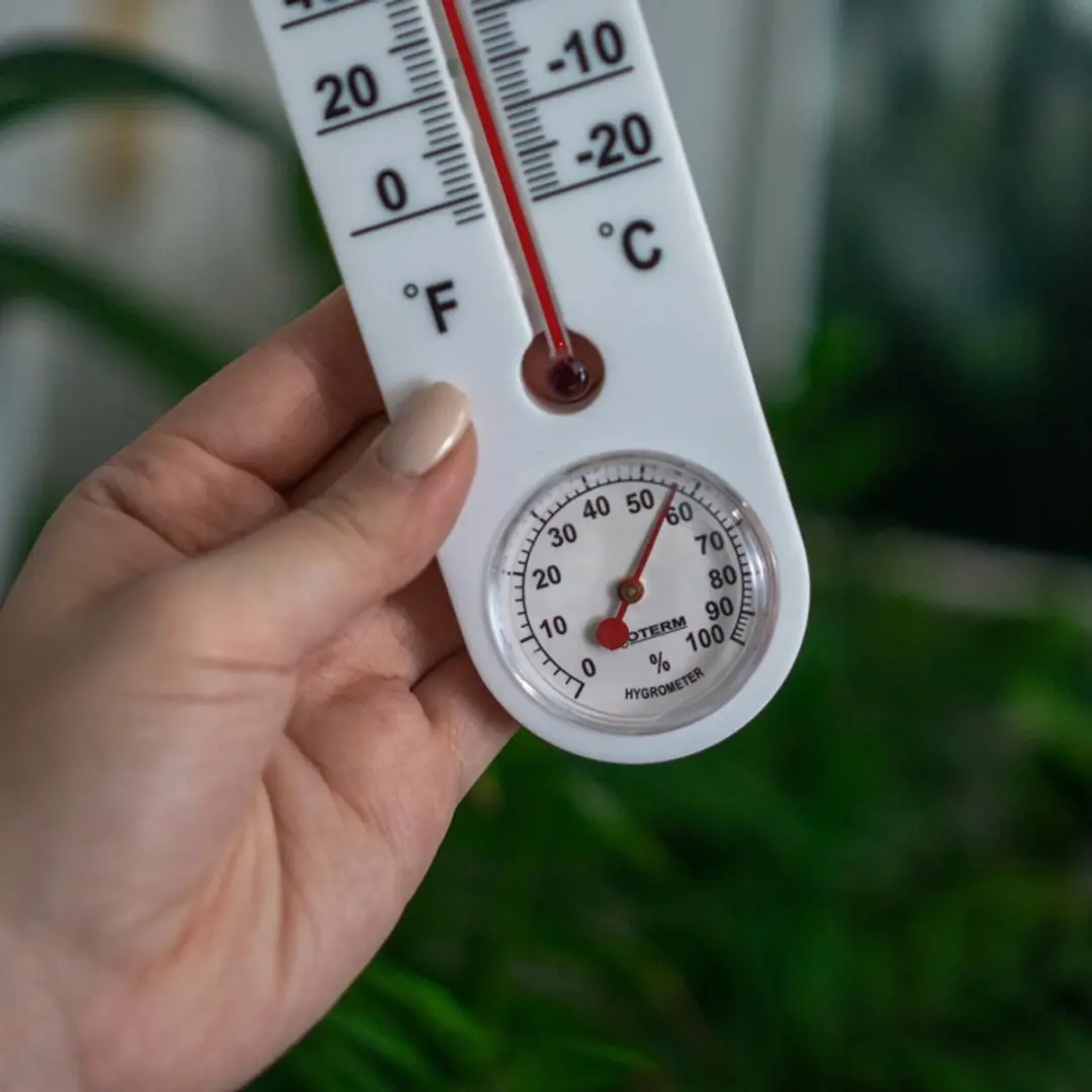 Browin Binnen Thermometer Hygrometer Wit
