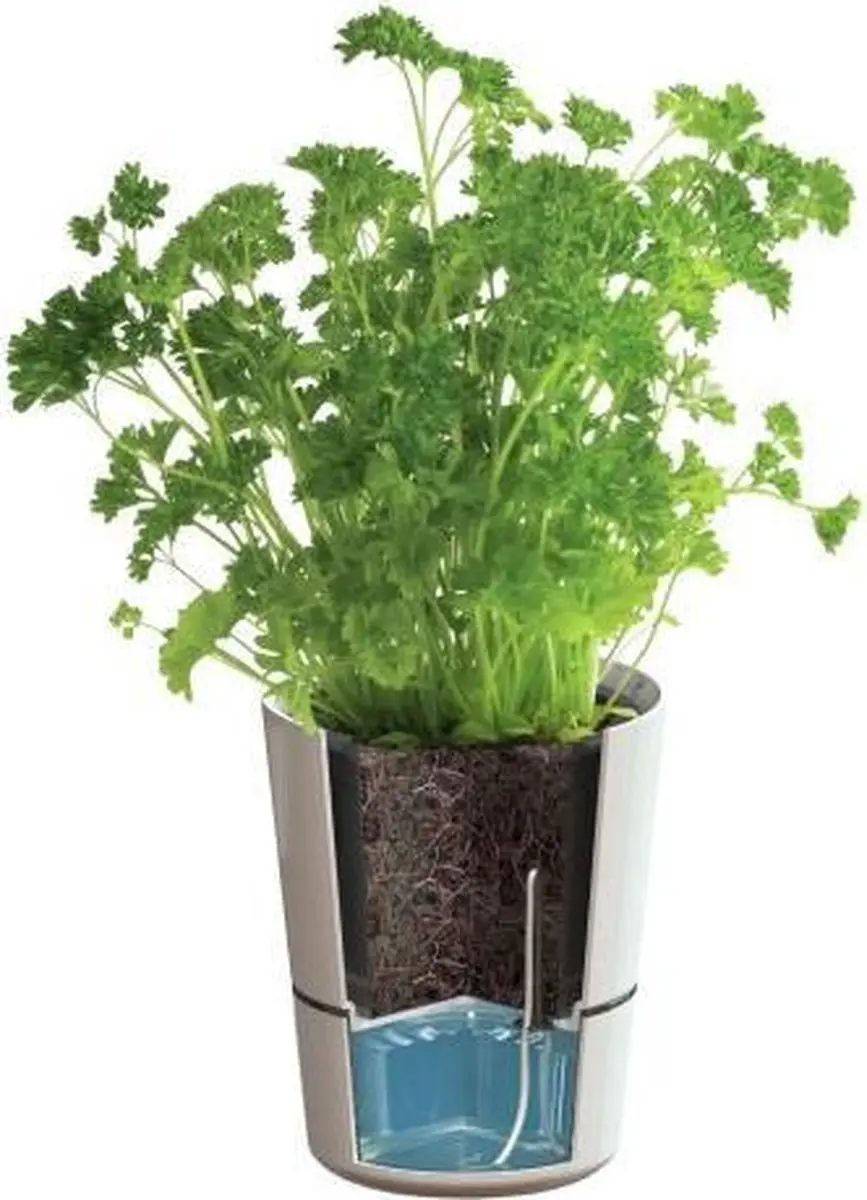 Mepal Kruidenpot Large 1L - Zwart
