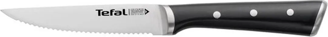 Tefal Ice Force Steakmessen 11cm - 4-delig - RVS - IJsgehard