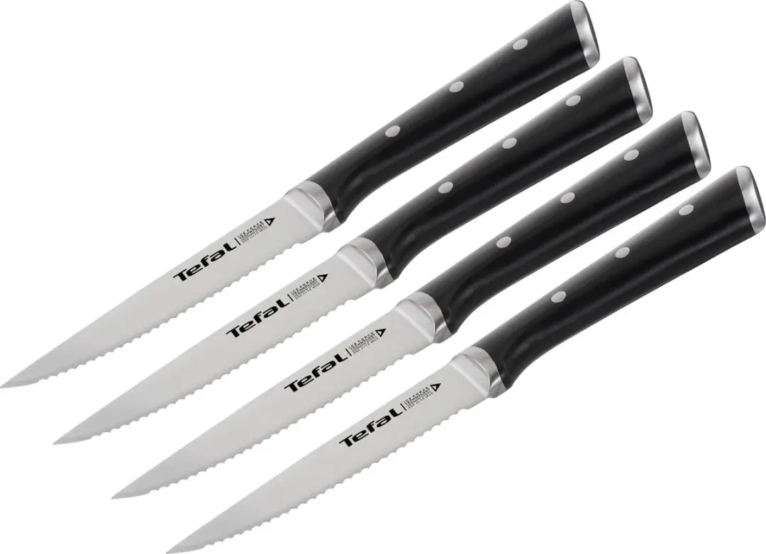 Tefal Ice Force Steakmessen 11cm - 4-delig - RVS - IJsgehard