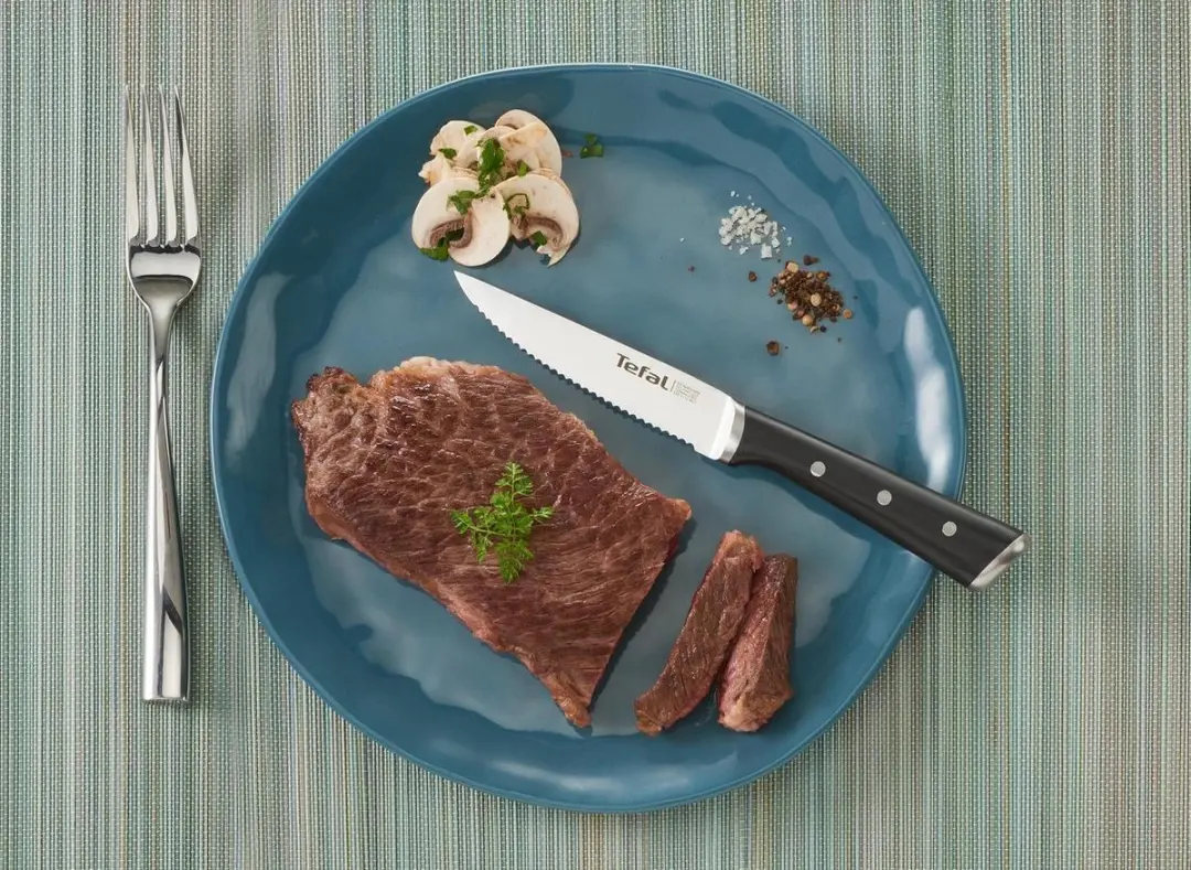 Tefal Ice Force Steakmessen 11cm - 4-delig - RVS - IJsgehard