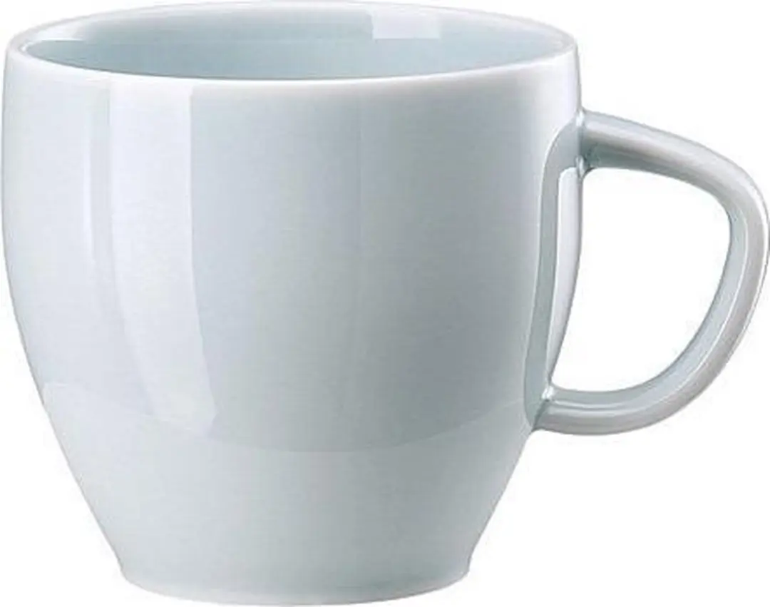Rosenthal Junto Koffiekopje