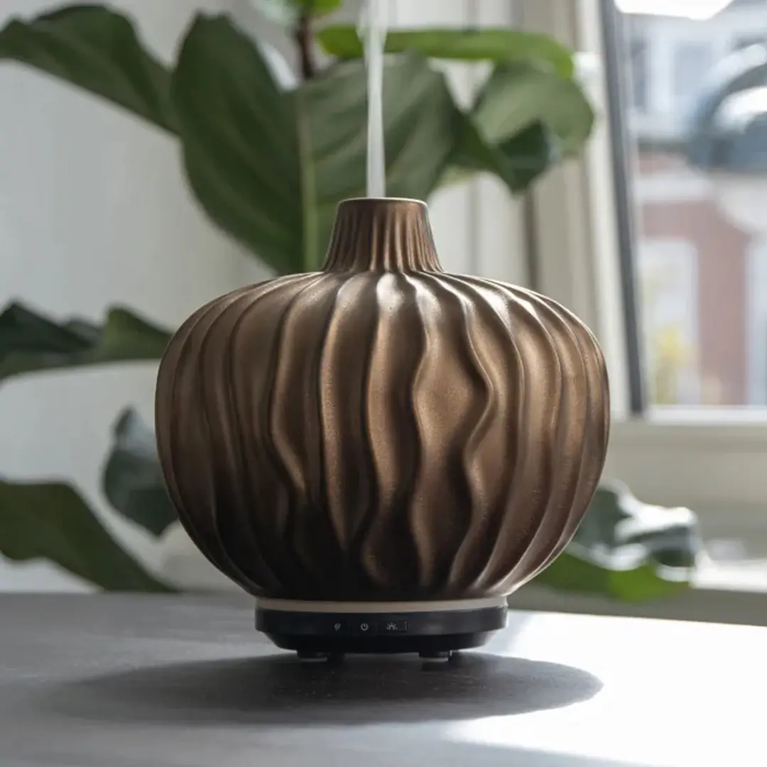 Chi Natural Life Clove Aroma Diffuser 1g