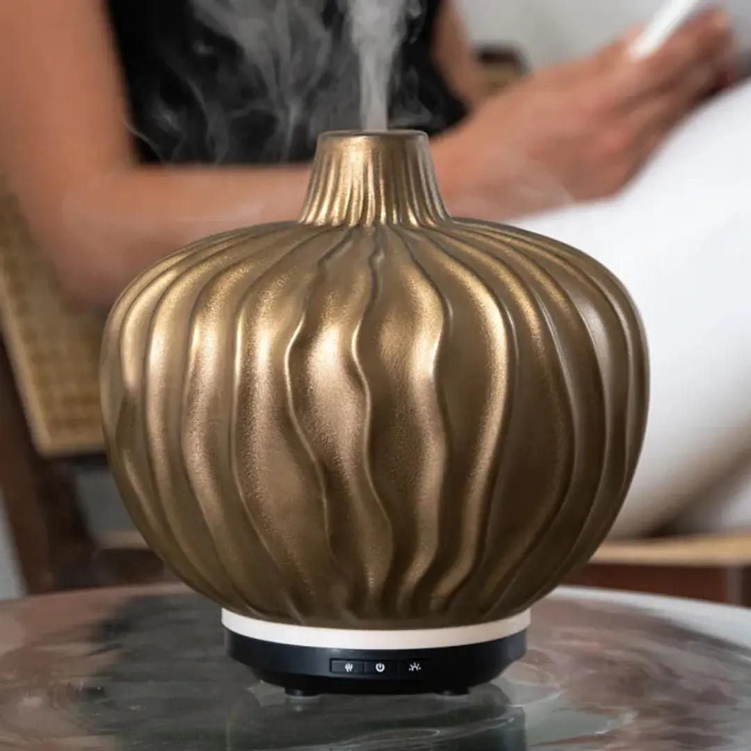 Chi Natural Life Clove Aroma Diffuser 1g