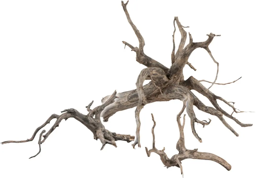 Sera Scaper Root M
